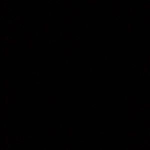 Meet your Posher, Lily